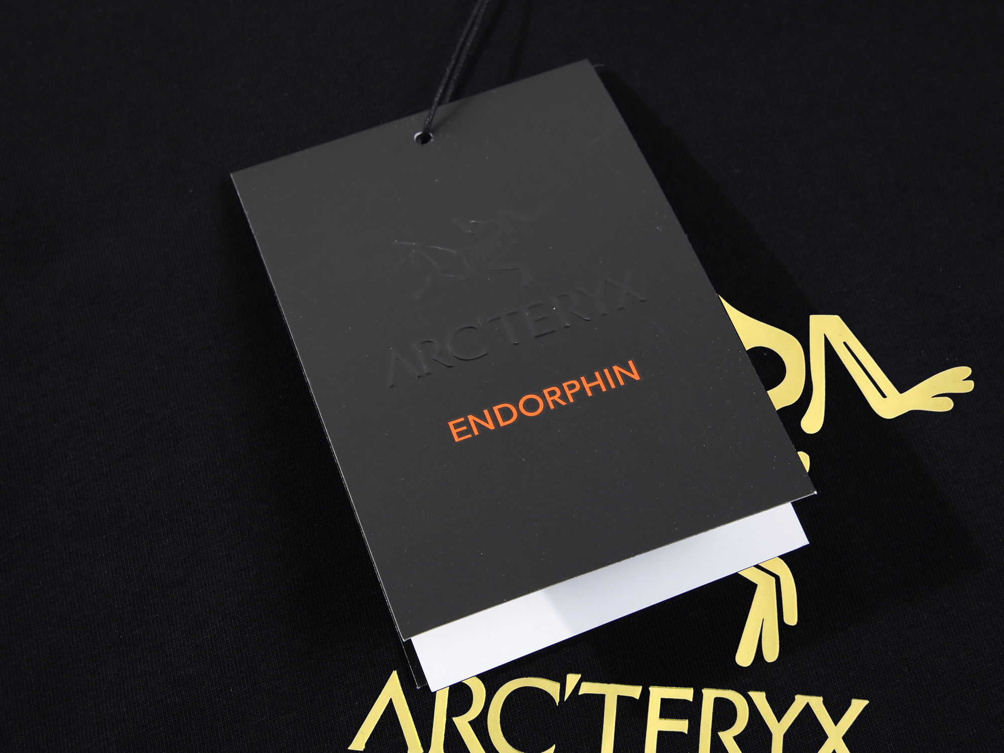 【ARCTERYX  公式旗艦店】 アークテリクス  Tシャツ ご好評に付き再入荷！250217-BRAND OFF