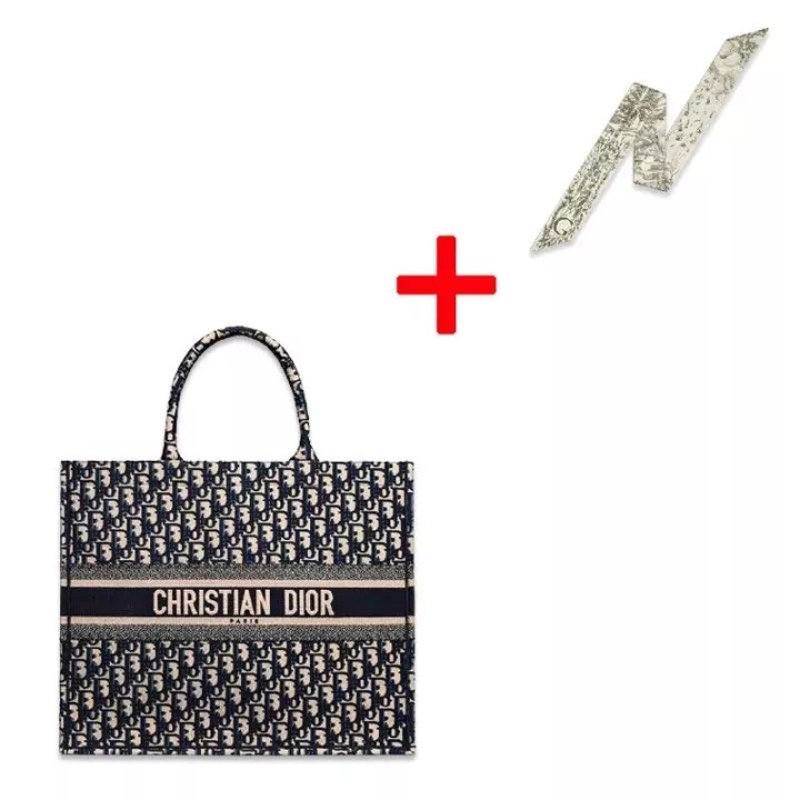 DIOR BOOK TOTE ディオール オブリーク エンブロイダリー-BRAND OFF