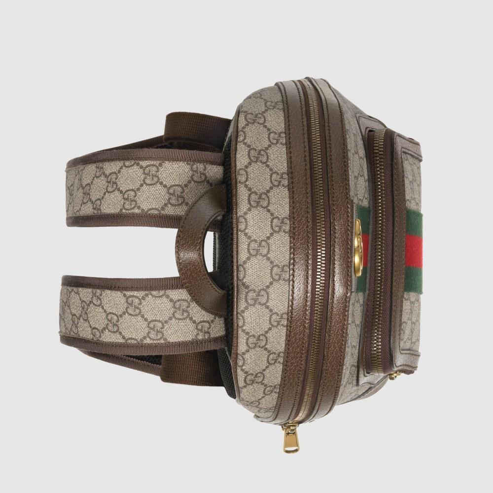 GUCCI 〔オフィディア〕GG スモール バックパック-BRAND OFF