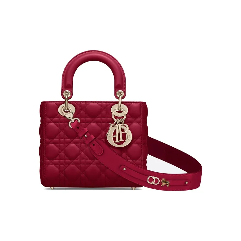 【DIOR旗艦店】 ディオール LADY DIORMY ABCDIOR ショルダーバッグ-BRAND OFF