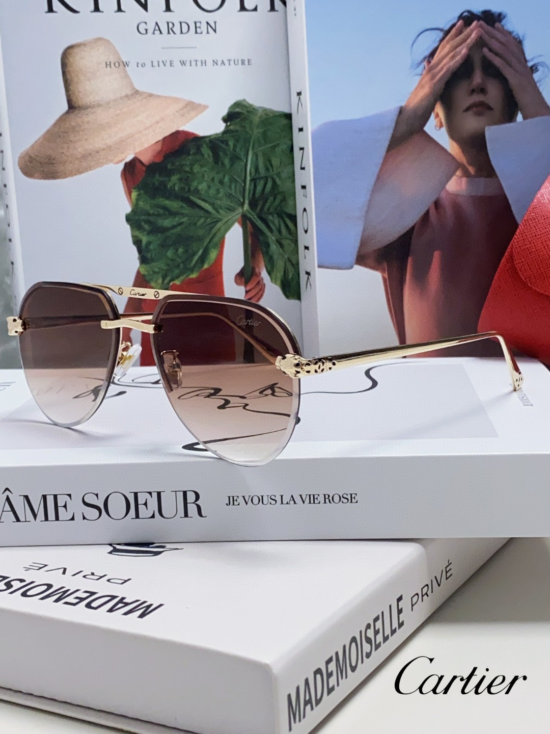 CARTIER( カルティエ) サングラス 24705-BRAND OFF
