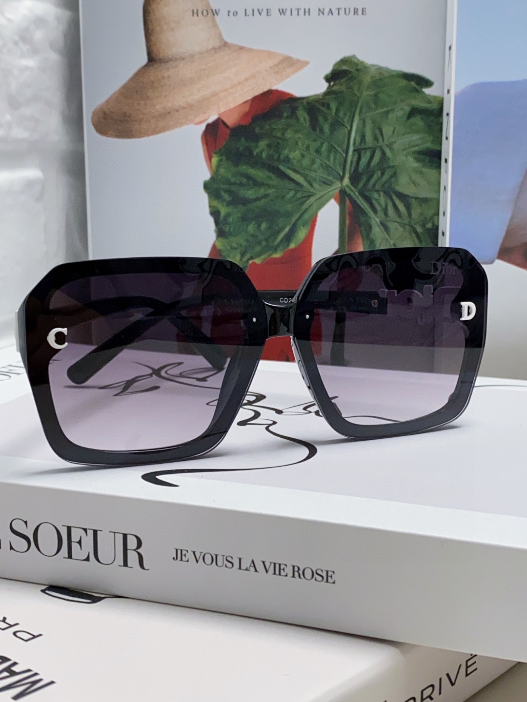【2026】DIOR(  ディオール ) サングラス 24705-BRAND OFF