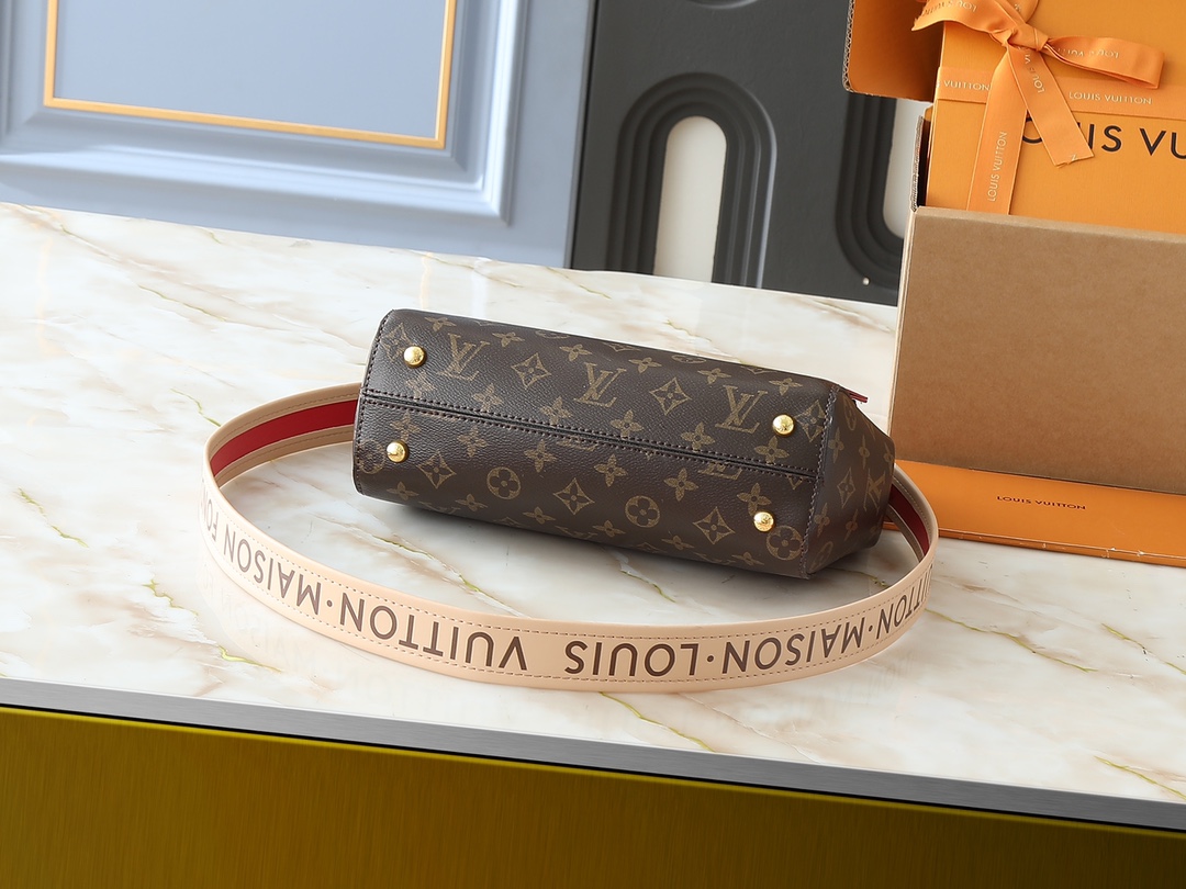 LOUIS VUITTON ルイヴィトン CLUNY BB バッグ M42738 M44863-BRAND OFF