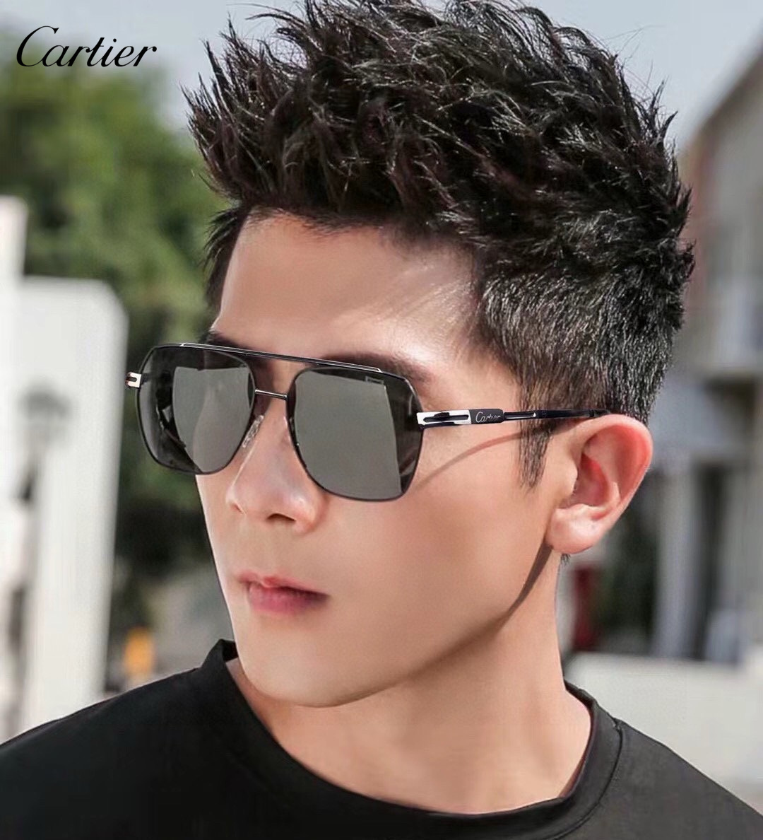 CARTIER( カルティエ) サングラス 24705-BRAND OFF