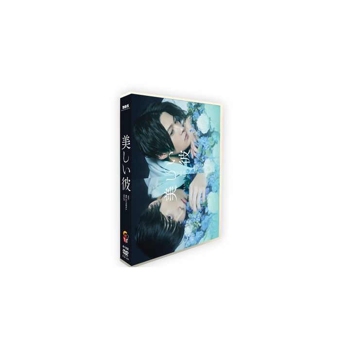 美しい彼 DVD-BOX