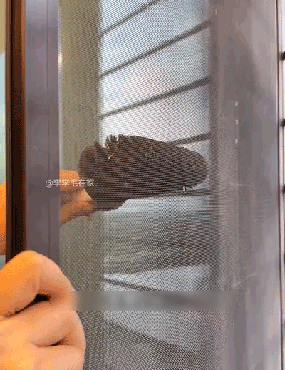 5.gif