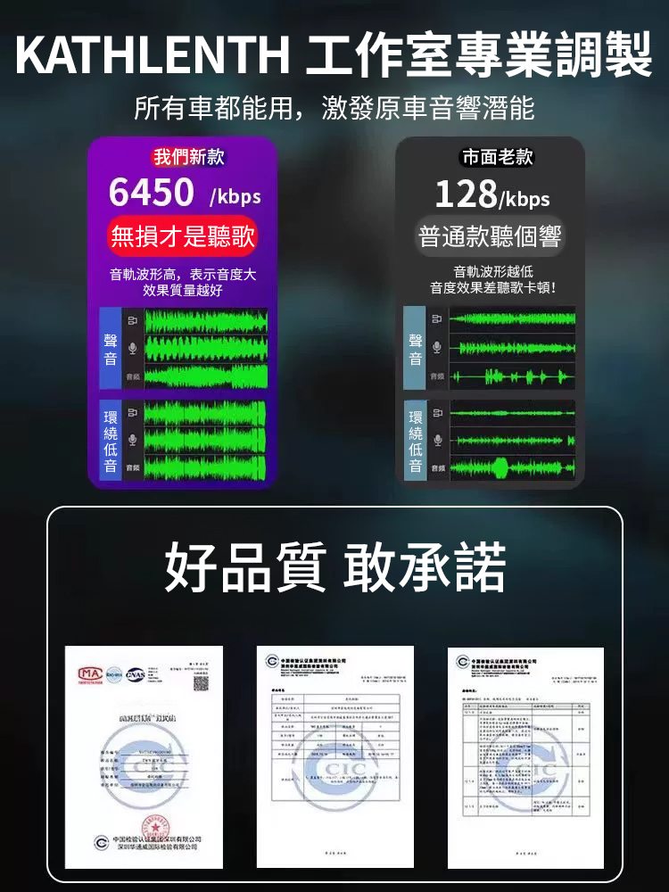 【柏林之聲】2025高音質車載U盤