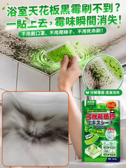 【一貼斷霉根】霉菌淨化貼