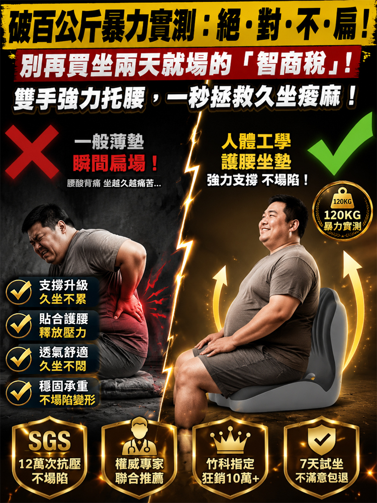 破百公斤不塌陷！【PROMAX 脊醫級】3D貝殼托腰坐墊｜專家推薦久坐救星