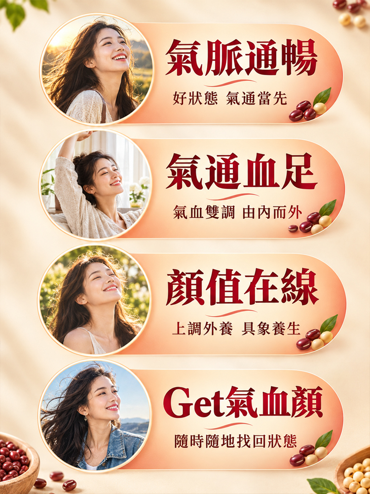 五紅豆漿粉