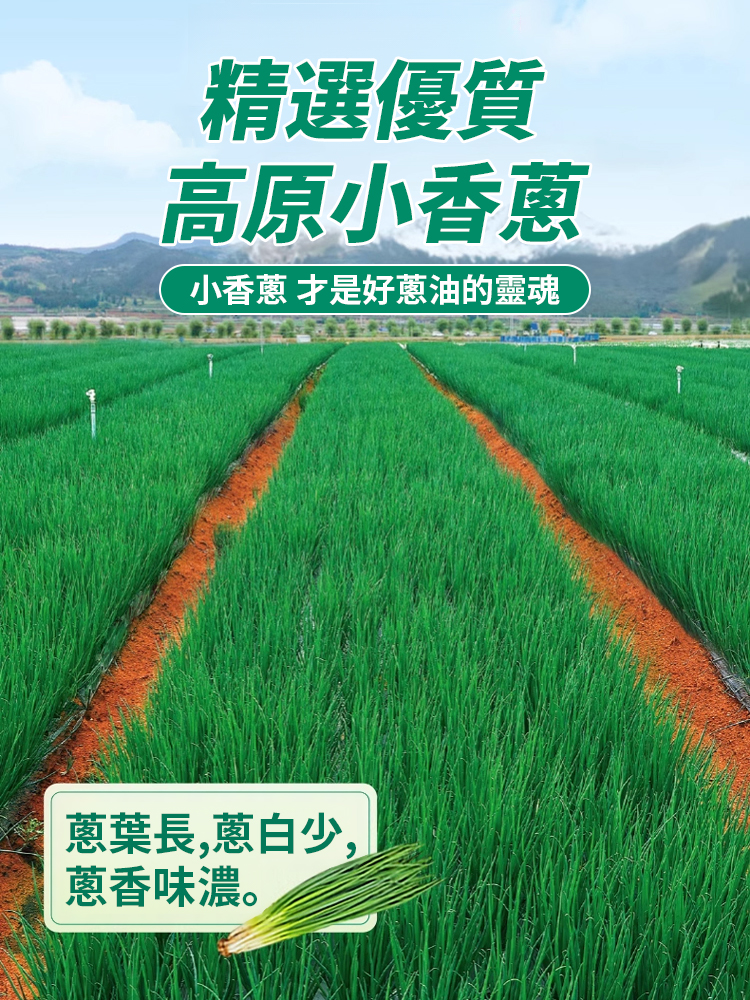 【2瓶裝】蔥油拌麵醬