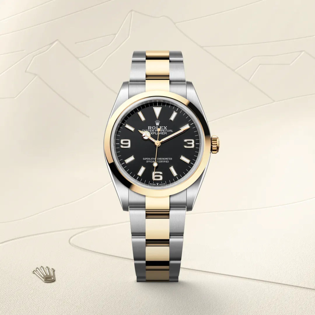 Rolex エクスプローラー 36  オイスター、36 mm、オイスタースチール＆イエローゴールド  リファレンス 124273  ¥ 1,943,700