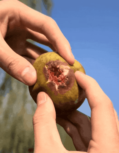 Honeycam 2026-10-24 16-19-33.gif
