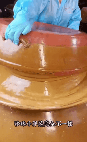 Honeycam 2026-10-27 11-41-03.gif