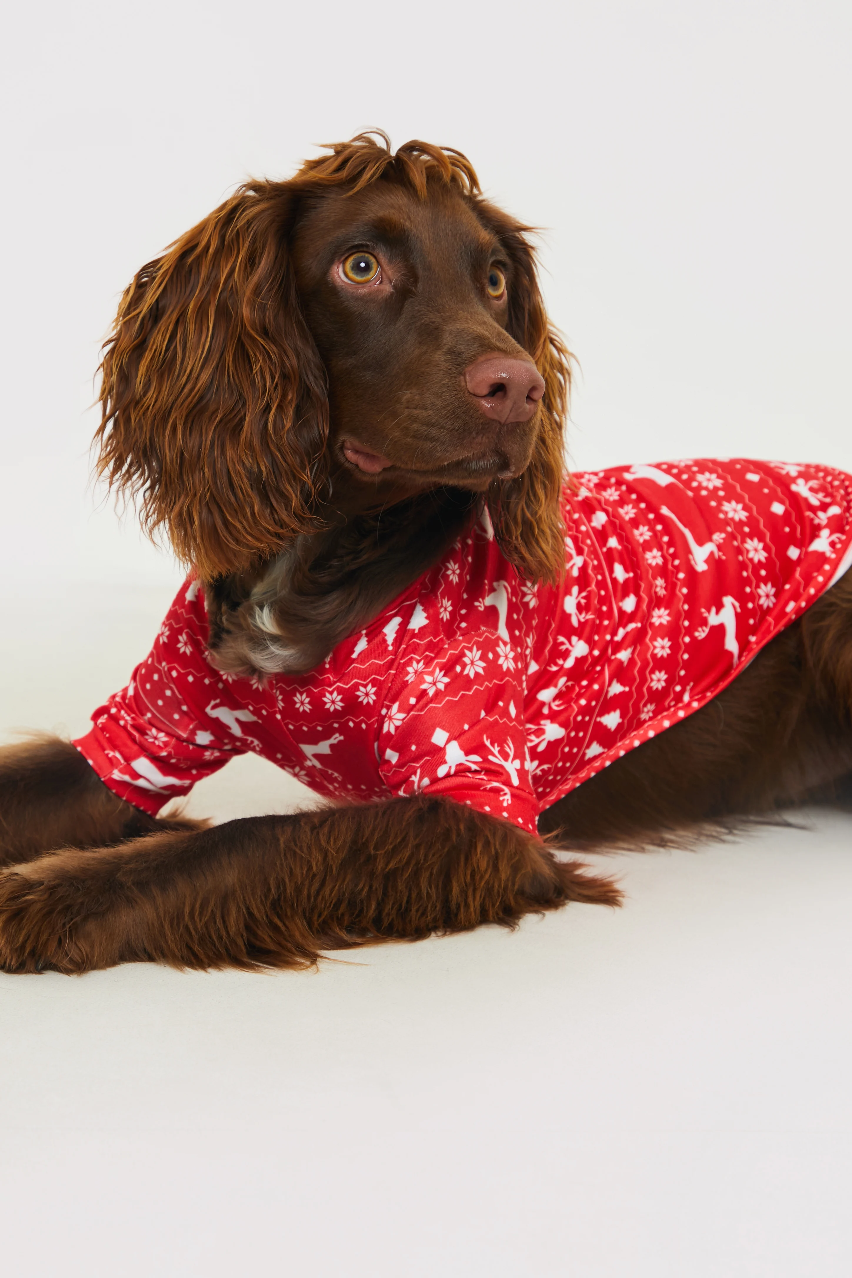 Reindeer Fairisle Dog PJ