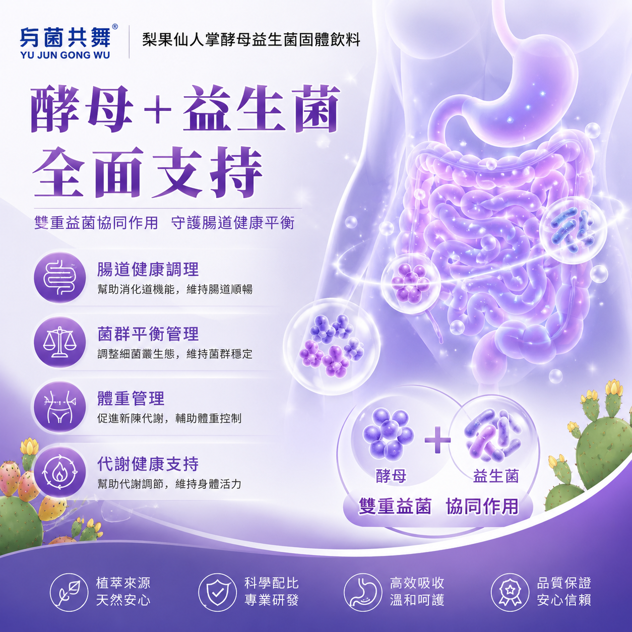 梨果仙人掌酵母益生菌固体饮料