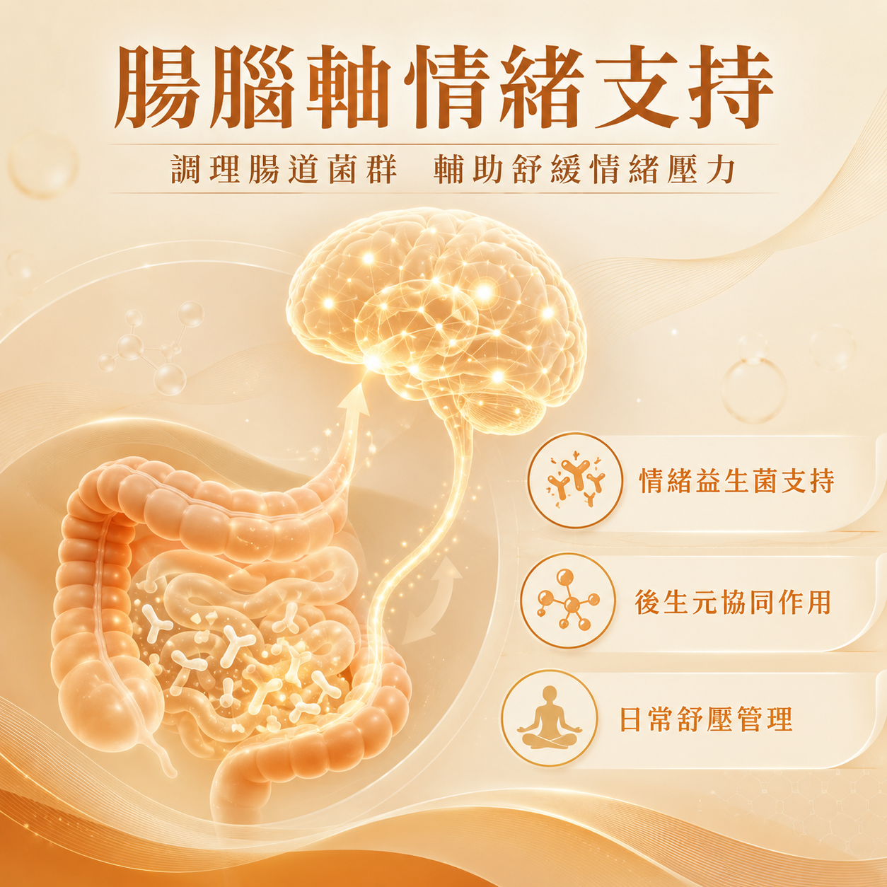 明慧益生菌冻干粉固体饮料