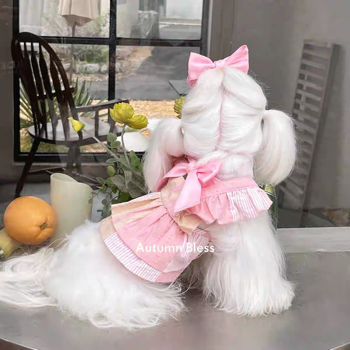 AUTUMN BLESS 宠物衣服 条纹小飞袖 裙子
