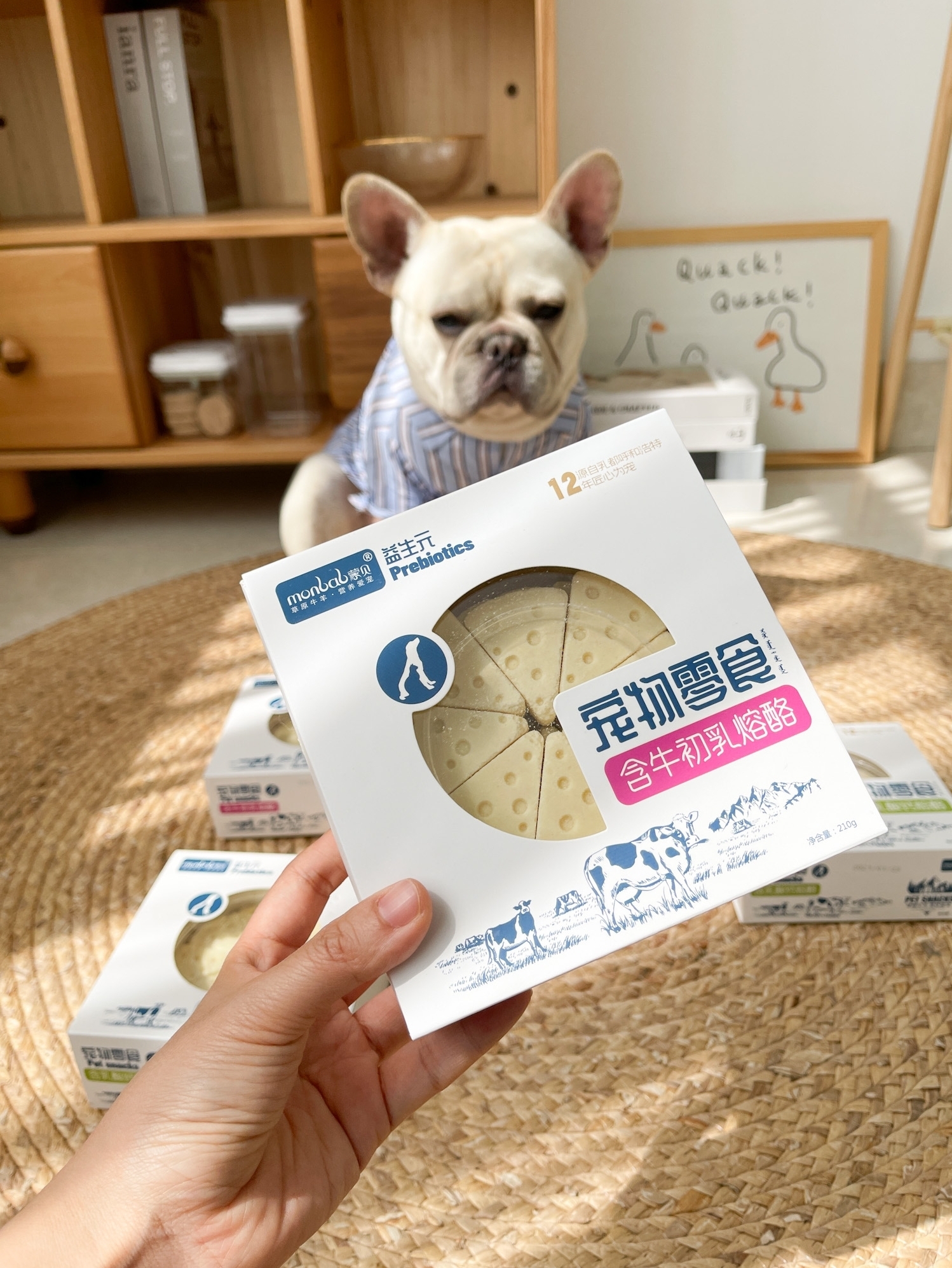MONBAB TRIANGLE CHEESE WITH PREBIOTICS 16PCS