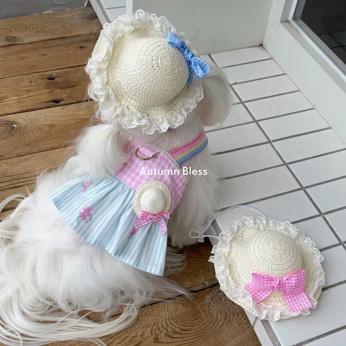 AUTUMN BLESS 宠物衣服 彩色条纹吊带 彩虹裙子