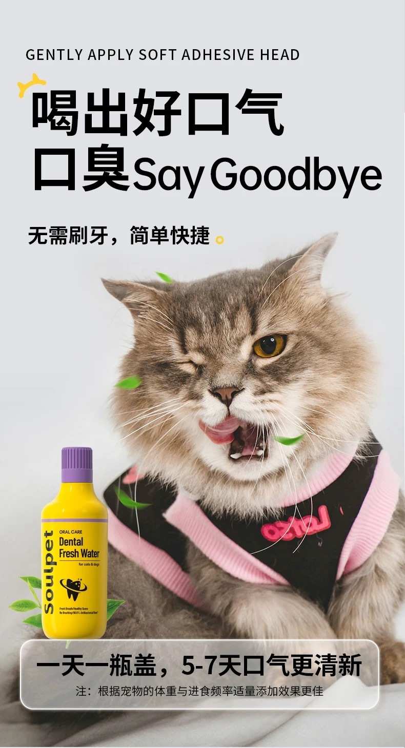 SOULPET 富士樱宠物洁齿水 500ml