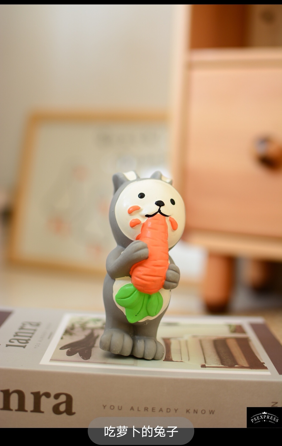 Q-MONSTER FOODIE FAMILY – SQUEAKY LATEX TOY