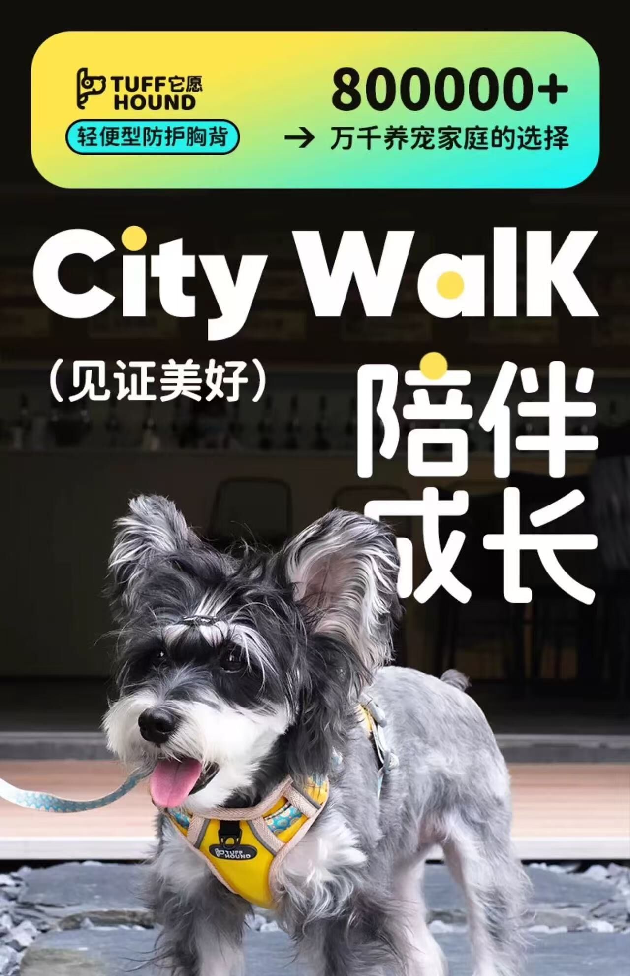 TH003 TUFFHOUND 它愿 猫狗小型犬大型犬背心式胸背+牵引绳套装