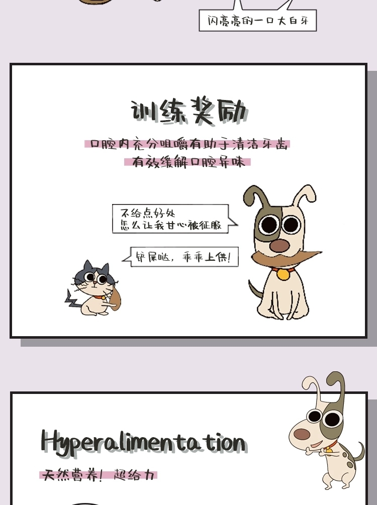 太阳家风干原切牛腿肉 AIR DRIED BEEF JERKY