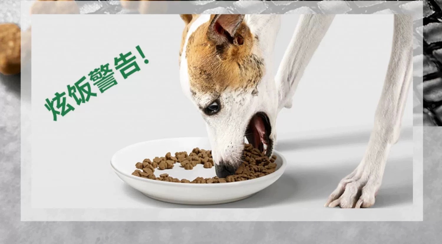 PARTNERPET 帕特 鲜鸭乳鸽配方全价烘培犬粮