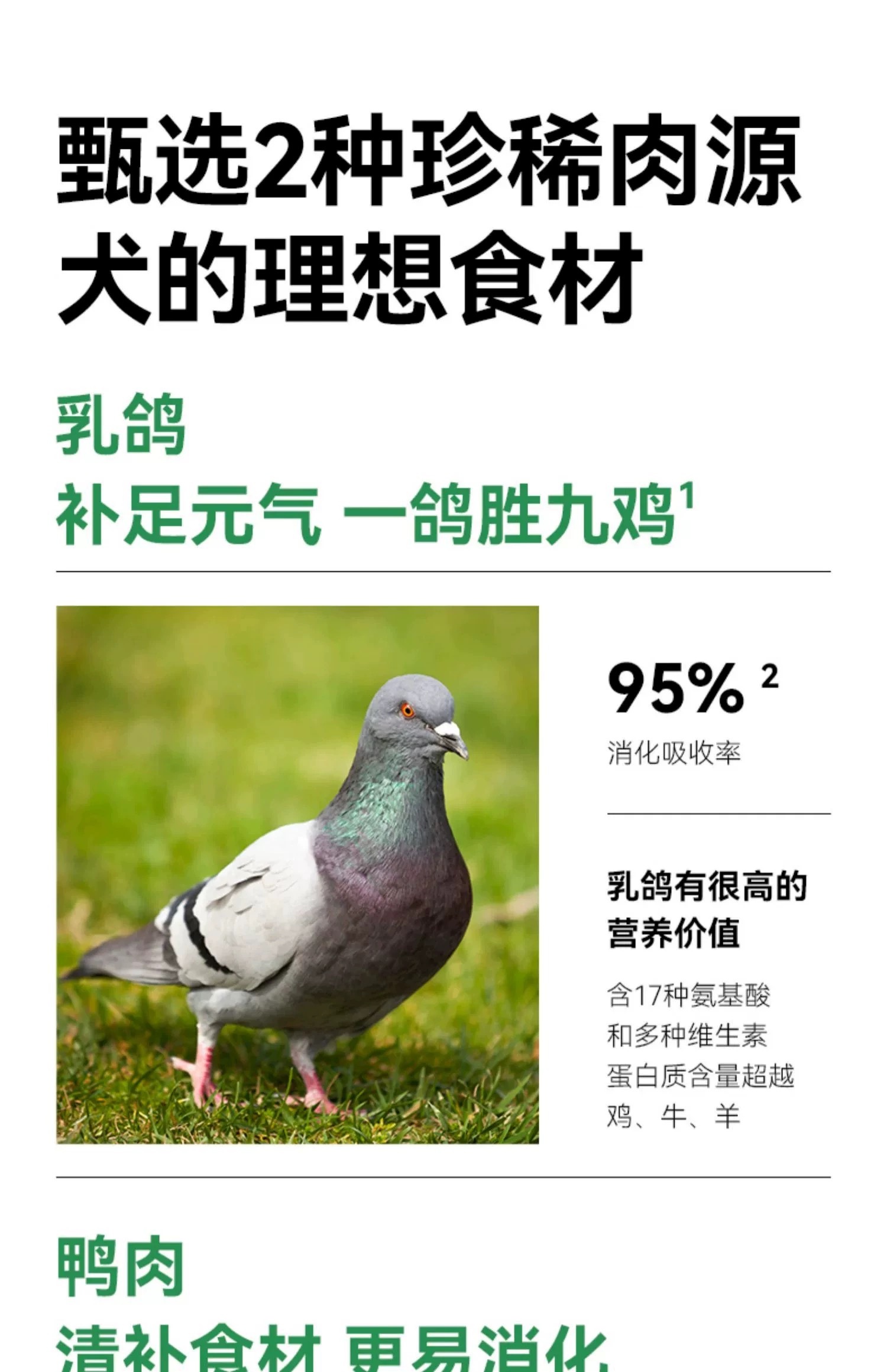 PARTNERPET 帕特 鲜鸭乳鸽配方全价烘培犬粮