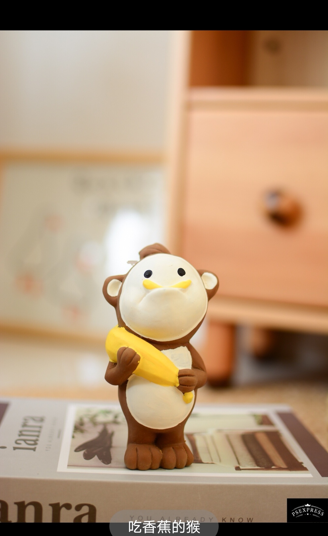 Q-MONSTER FOODIE FAMILY – SQUEAKY LATEX TOY