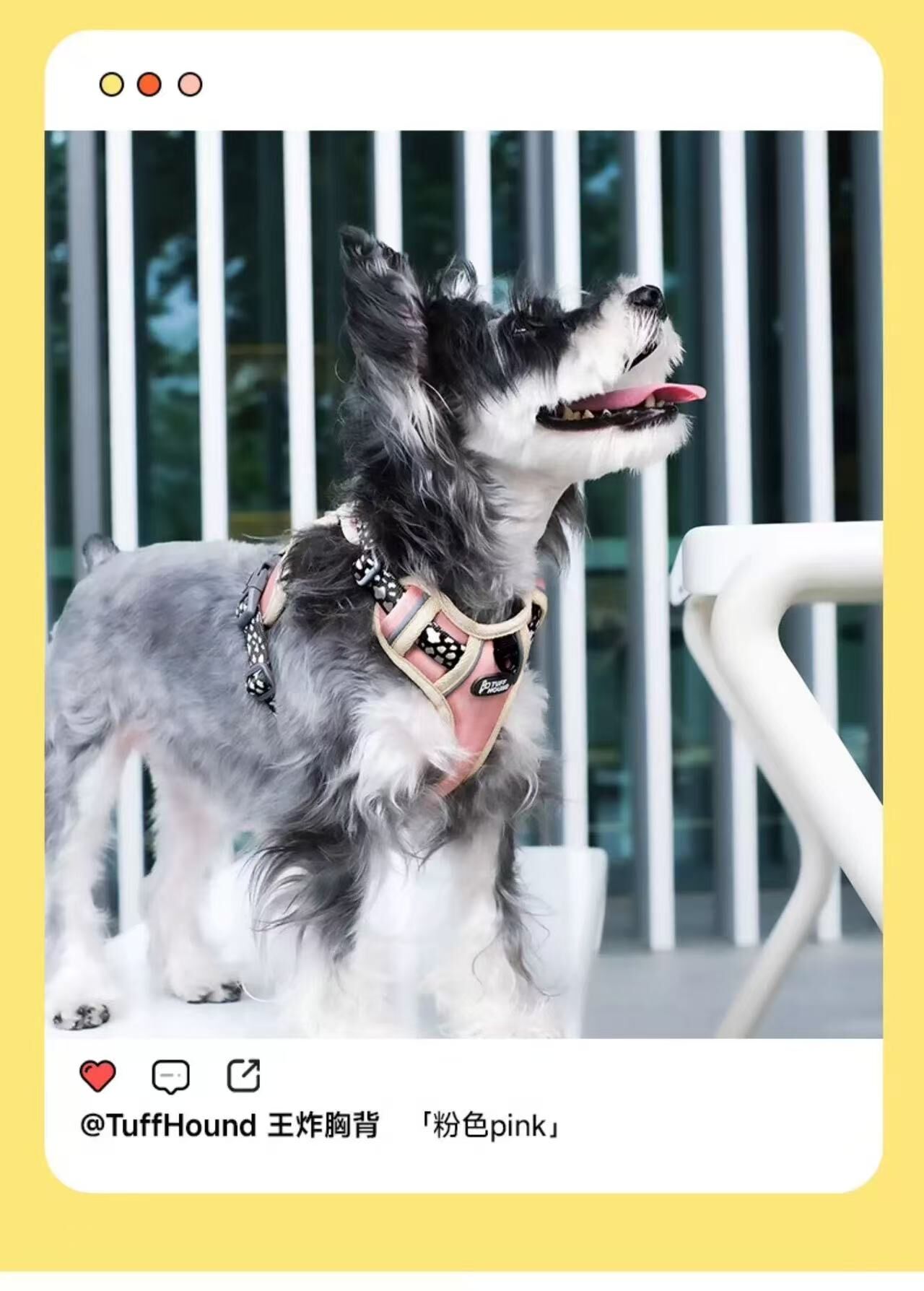 TH003 TUFFHOUND 它愿 猫狗小型犬大型犬背心式胸背+牵引绳套装