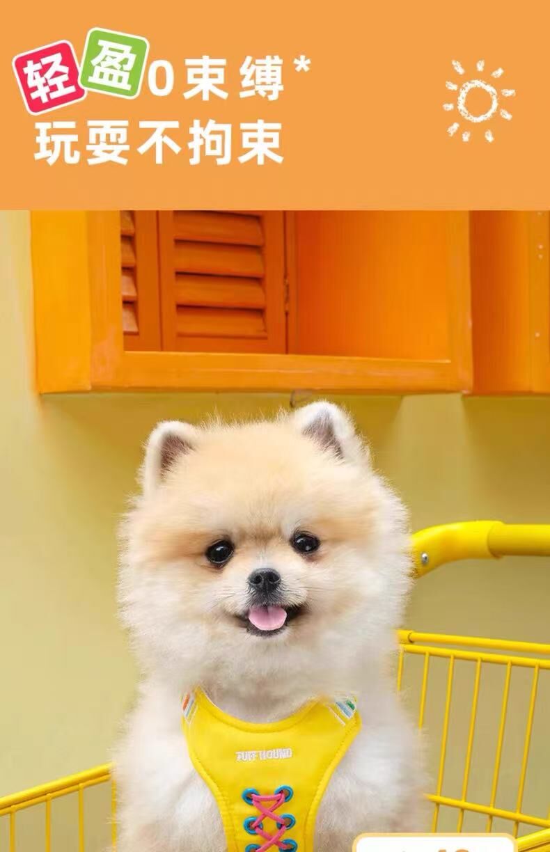 TF057 TUFFHOUND 它愿 猫狗小型犬胸背 牵引绳