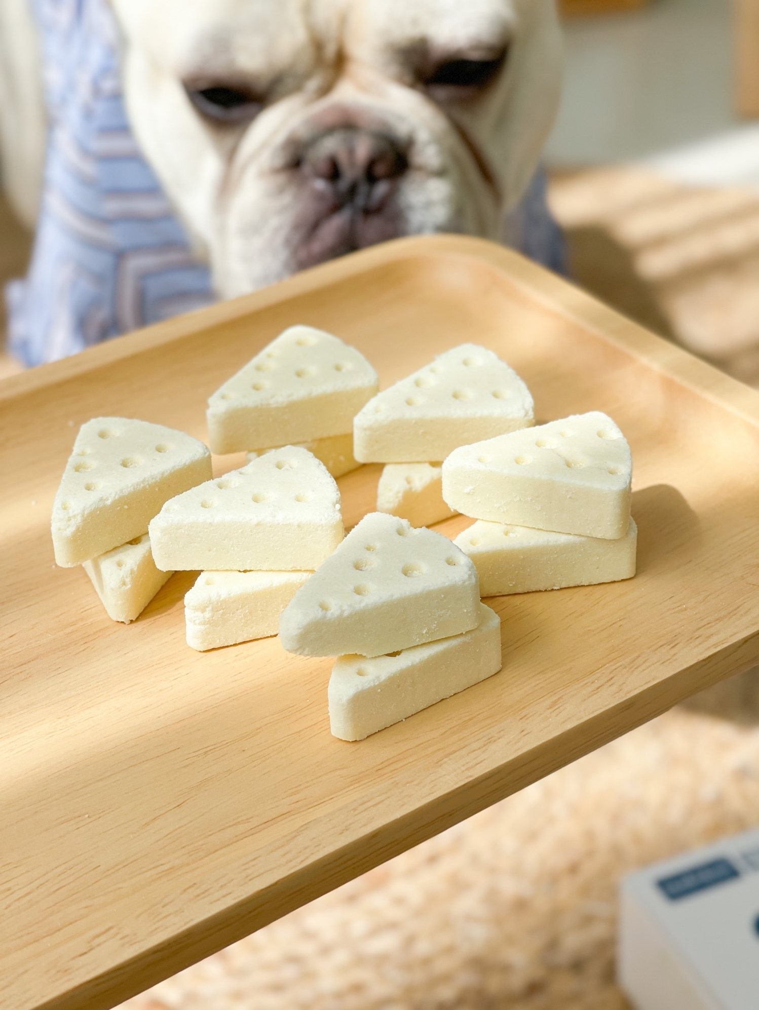 MONBAB TRIANGLE CHEESE WITH PREBIOTICS 16PCS