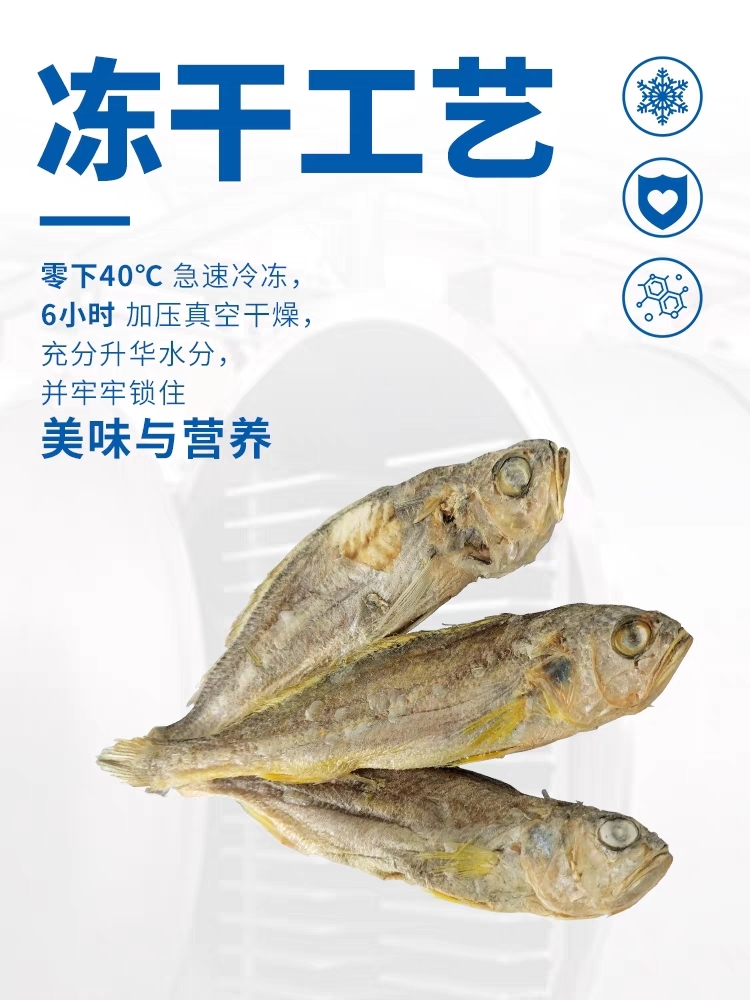 FISHERMAN PET FREEZE-DRIED YELLOW CROAKER – 35G