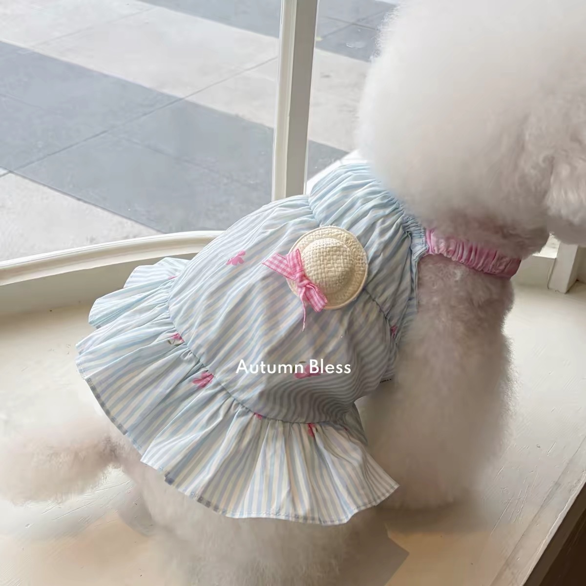 AUTUMN BLESS 宠物衣服 彩色条纹吊带 彩虹裙子