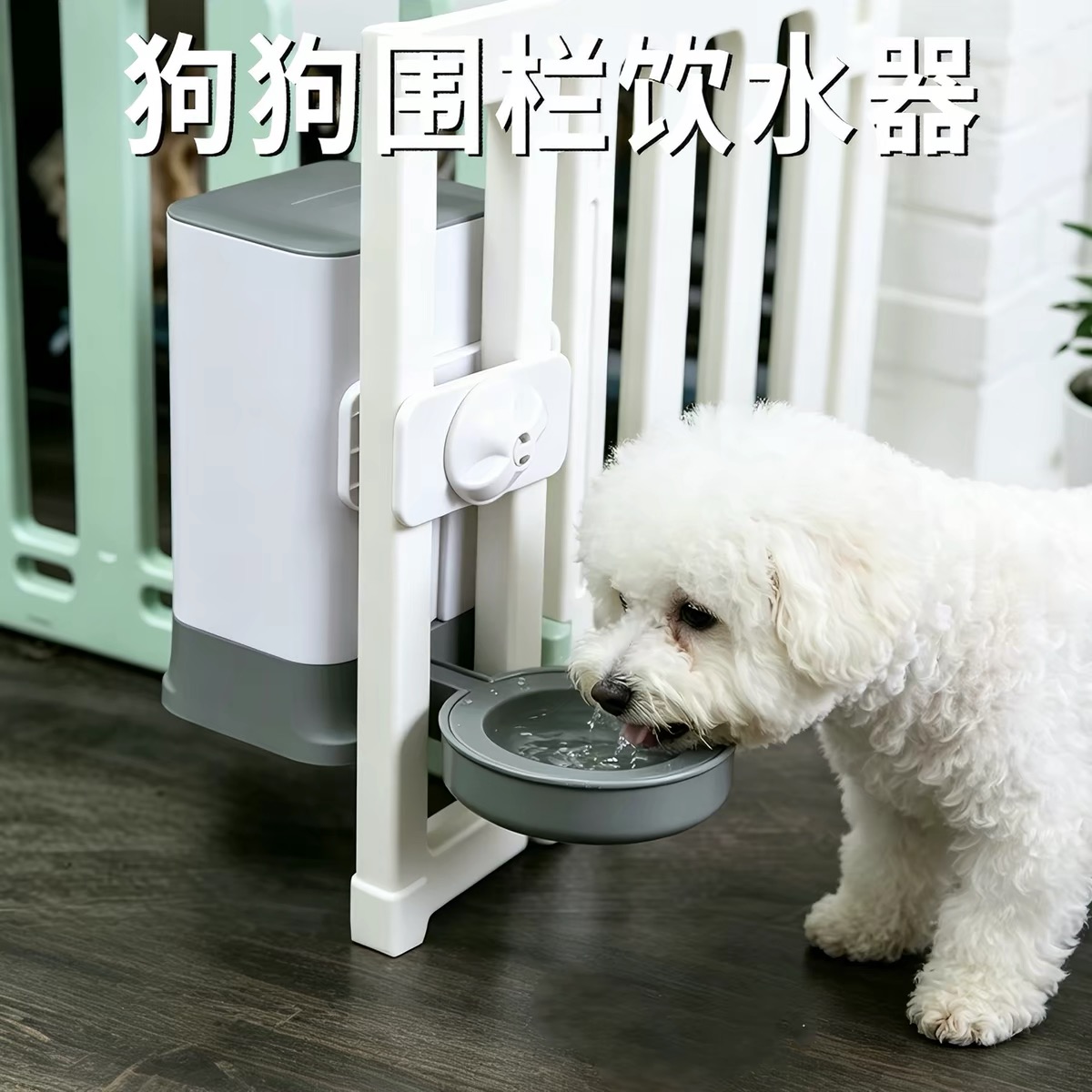 宠物悬挂式饮水器不湿嘴
