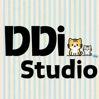 DDI STUDIO
