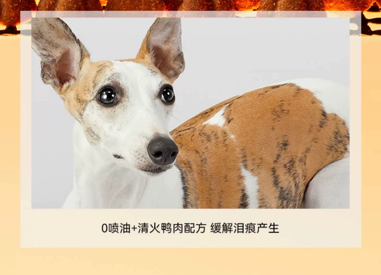 PARTNERPET 帕特 鲜鸭乳鸽配方全价烘培犬粮