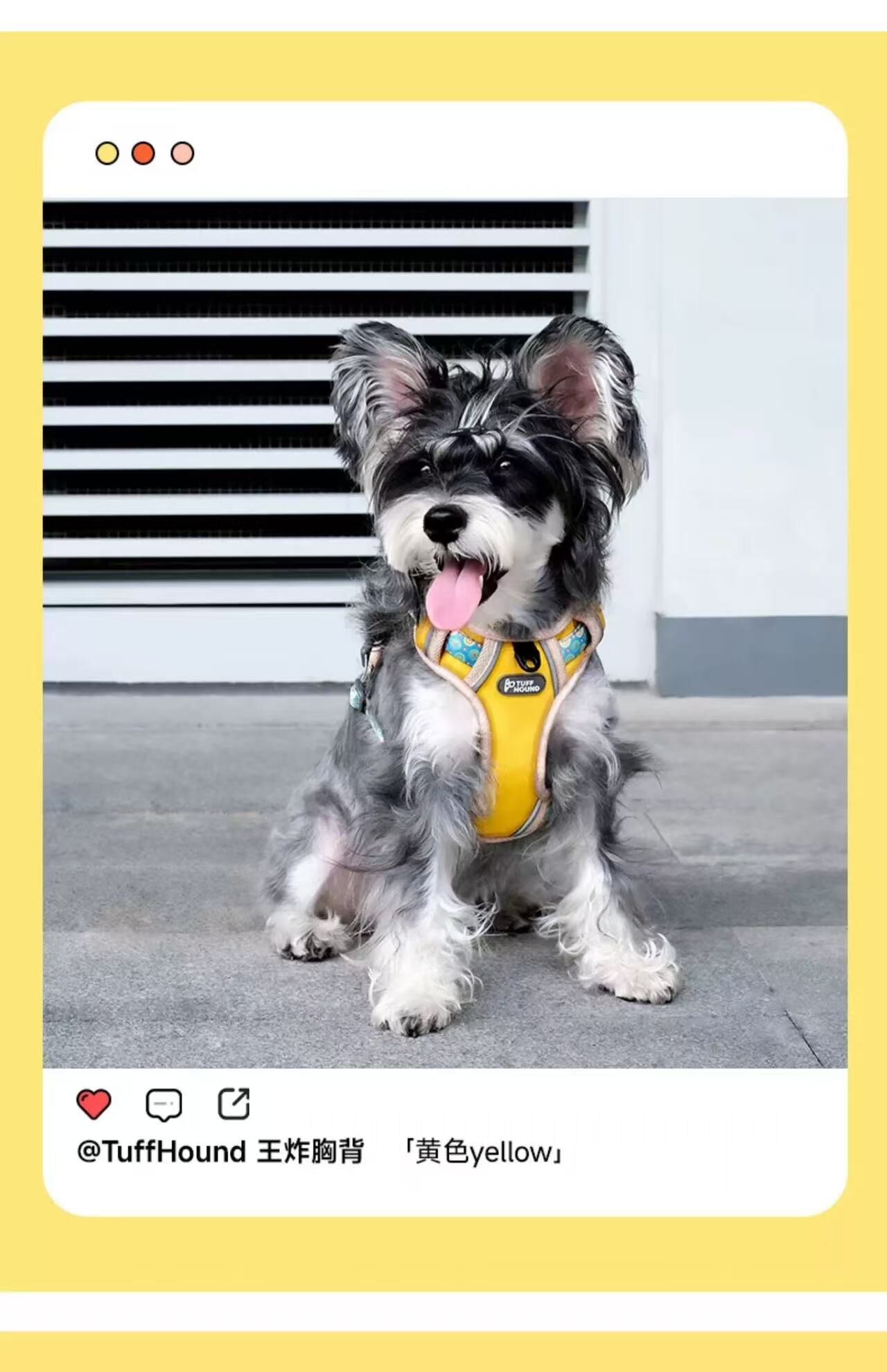 TH003 TUFFHOUND 它愿 猫狗小型犬大型犬背心式胸背+牵引绳套装
