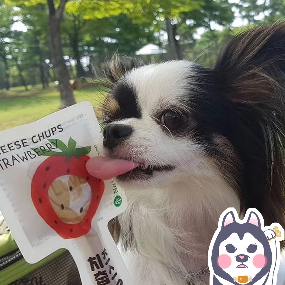 NATURAL CORE CHEESE LOLIPOP 奶酪棒棒糖