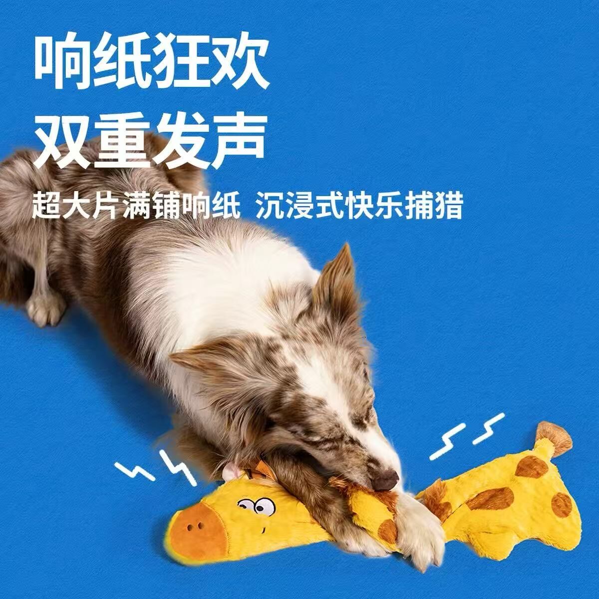 楼梯
