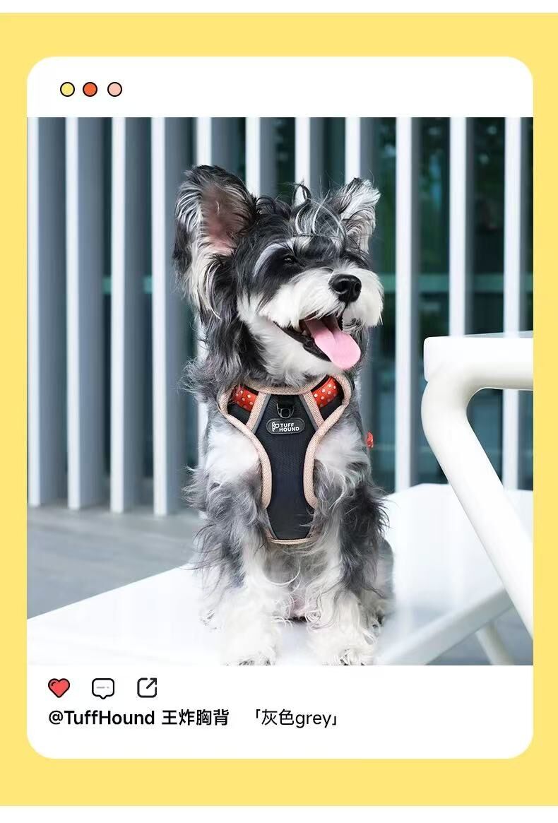 TH003 TUFFHOUND 它愿 猫狗小型犬大型犬背心式胸背+牵引绳套装