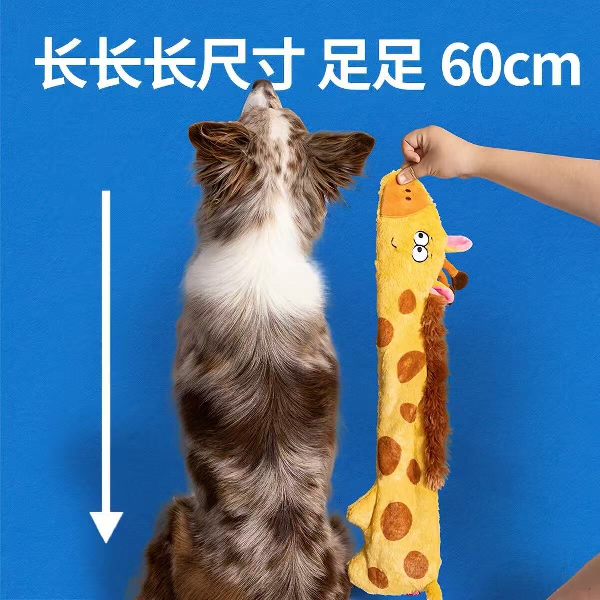 楼梯