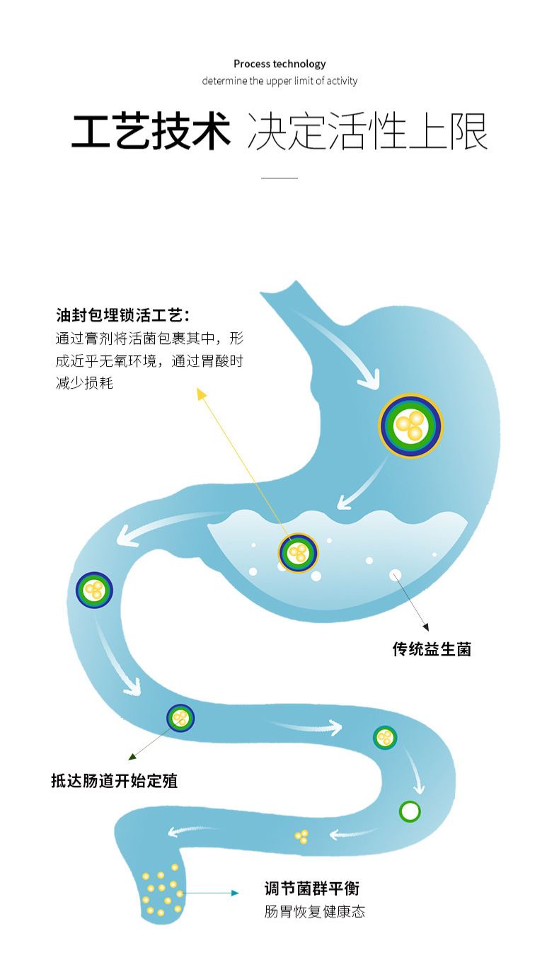 VETPET唯派特 宠物营养补充剂 益生菌膏 （3g*10袋）