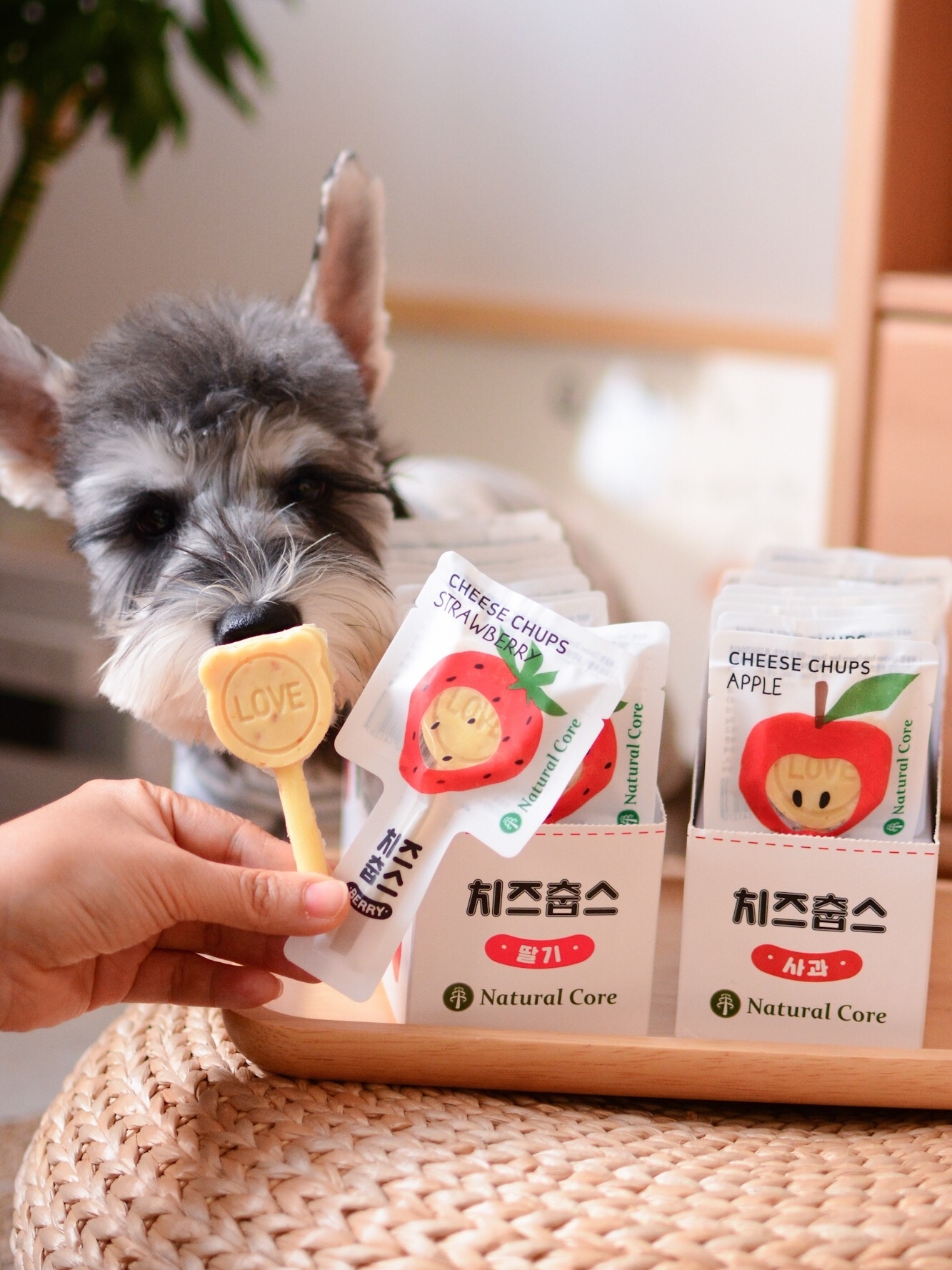 NATURAL CORE CHEESE LOLIPOP 奶酪棒棒糖