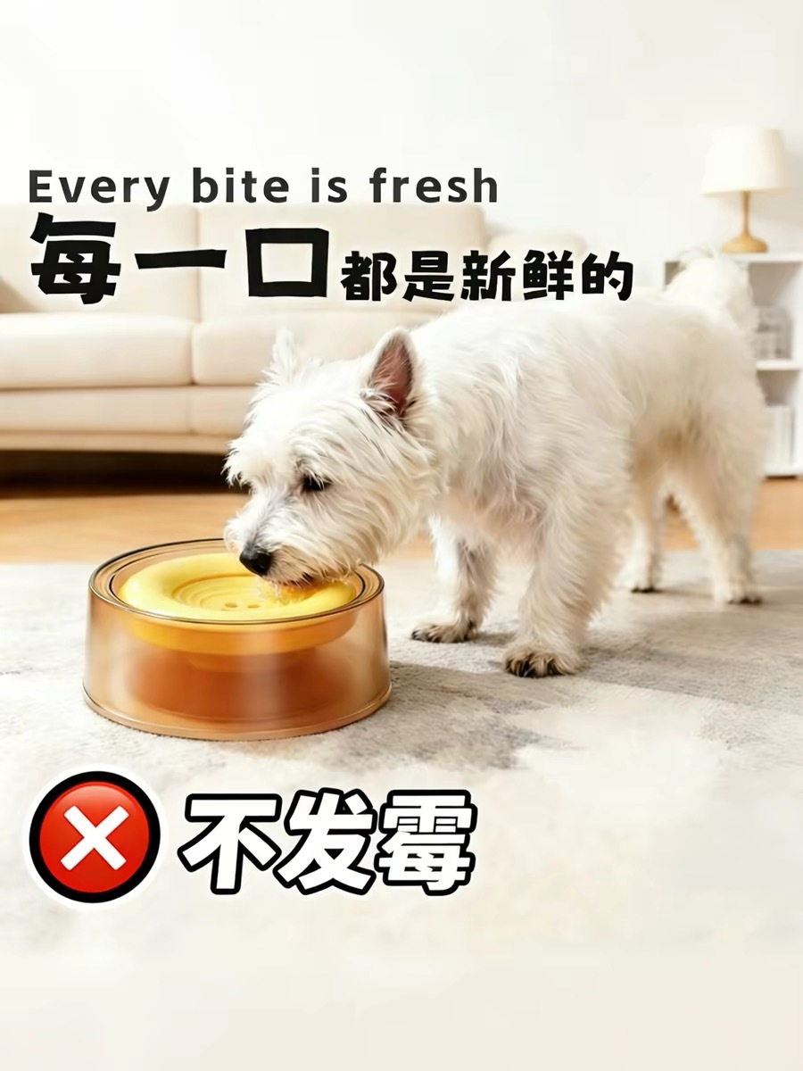 磨砂质地 浮水碗