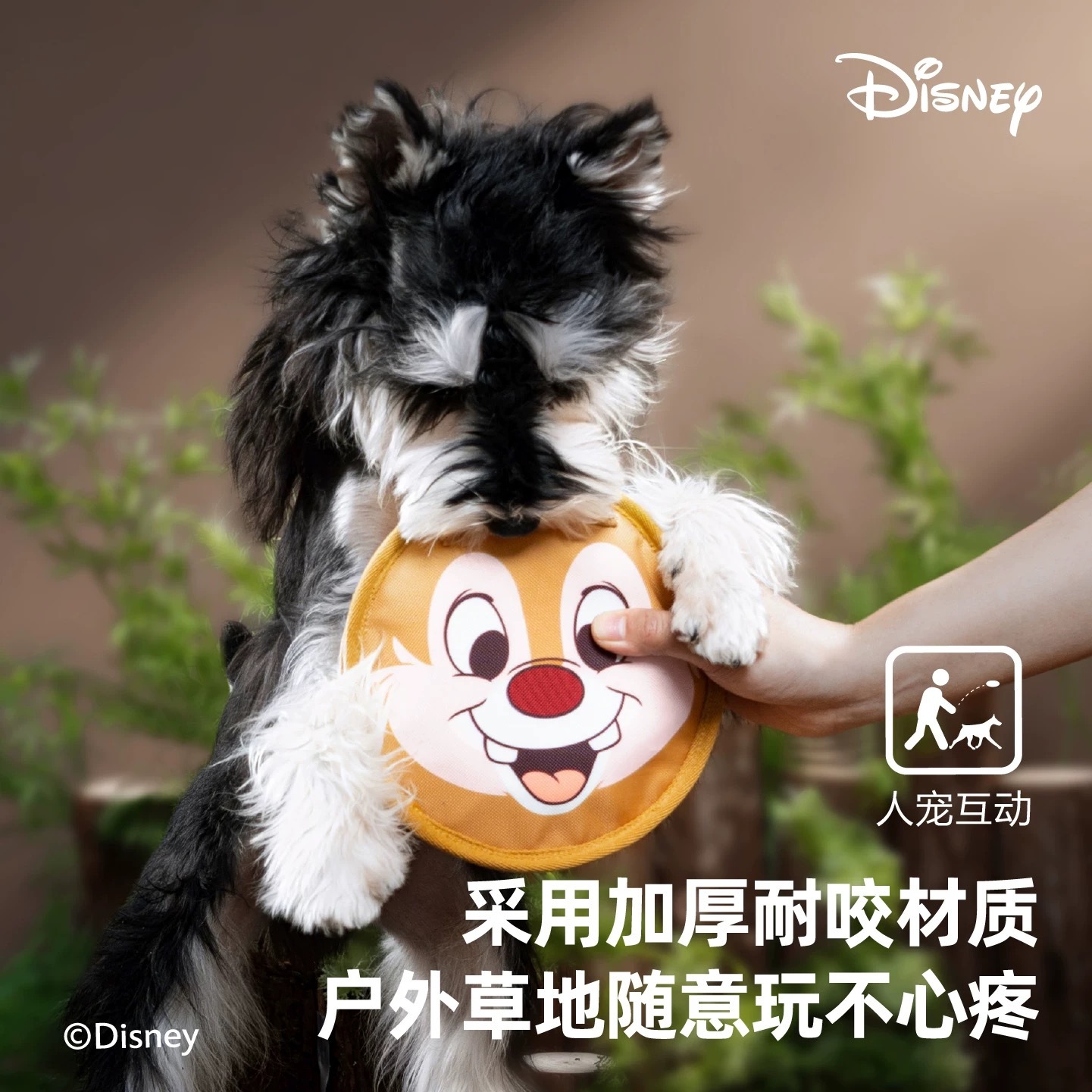 PETSVILLE 派思维迪士尼奇奇和蒂蒂玩具
