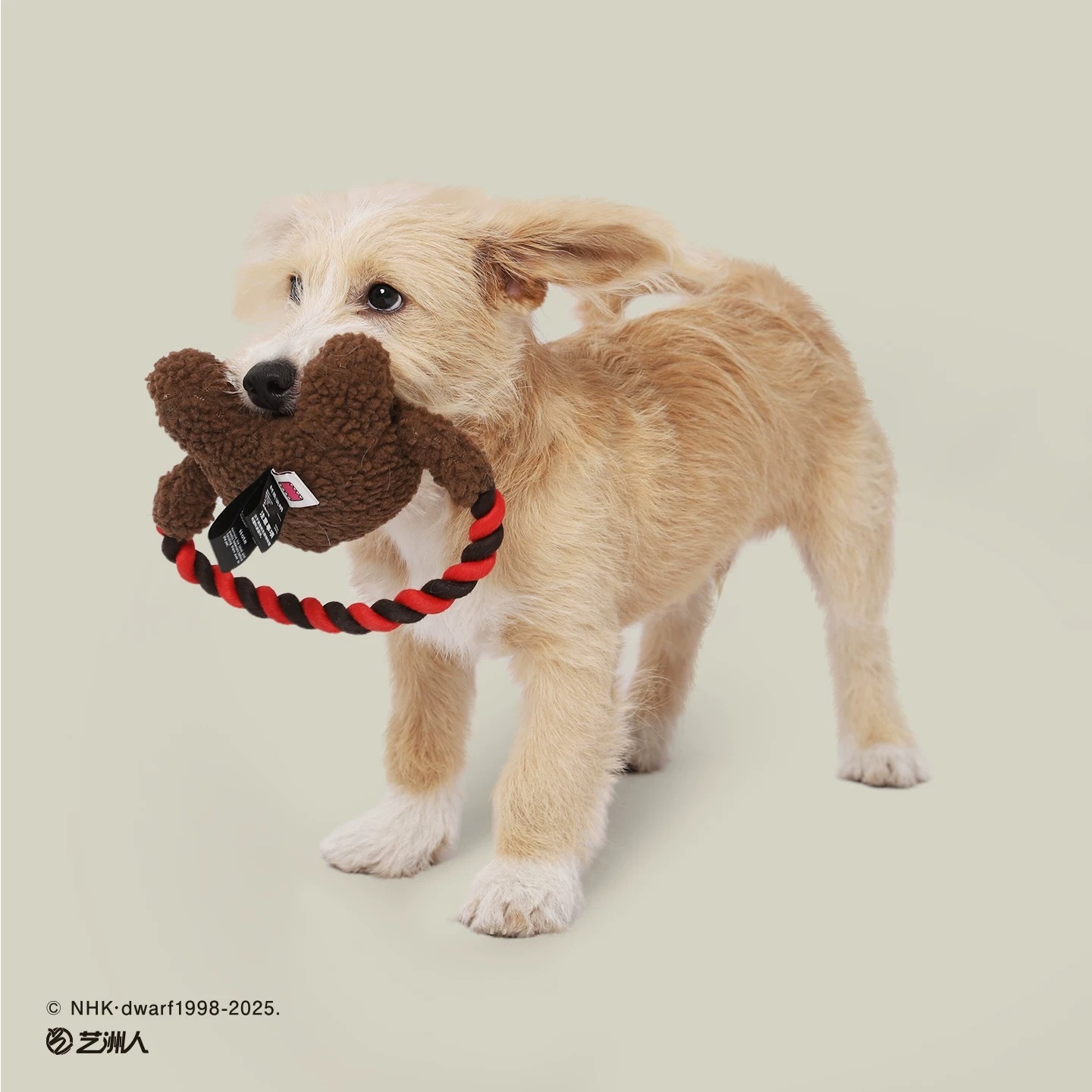 HOOPET X DOMO 多摩君联名 拔河耐咬咬绳绳结玩具