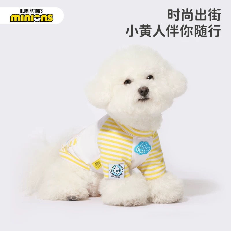 HOOPET X MINION 小黄人联名 宠物夏日薄款凉感 撞色线条T恤